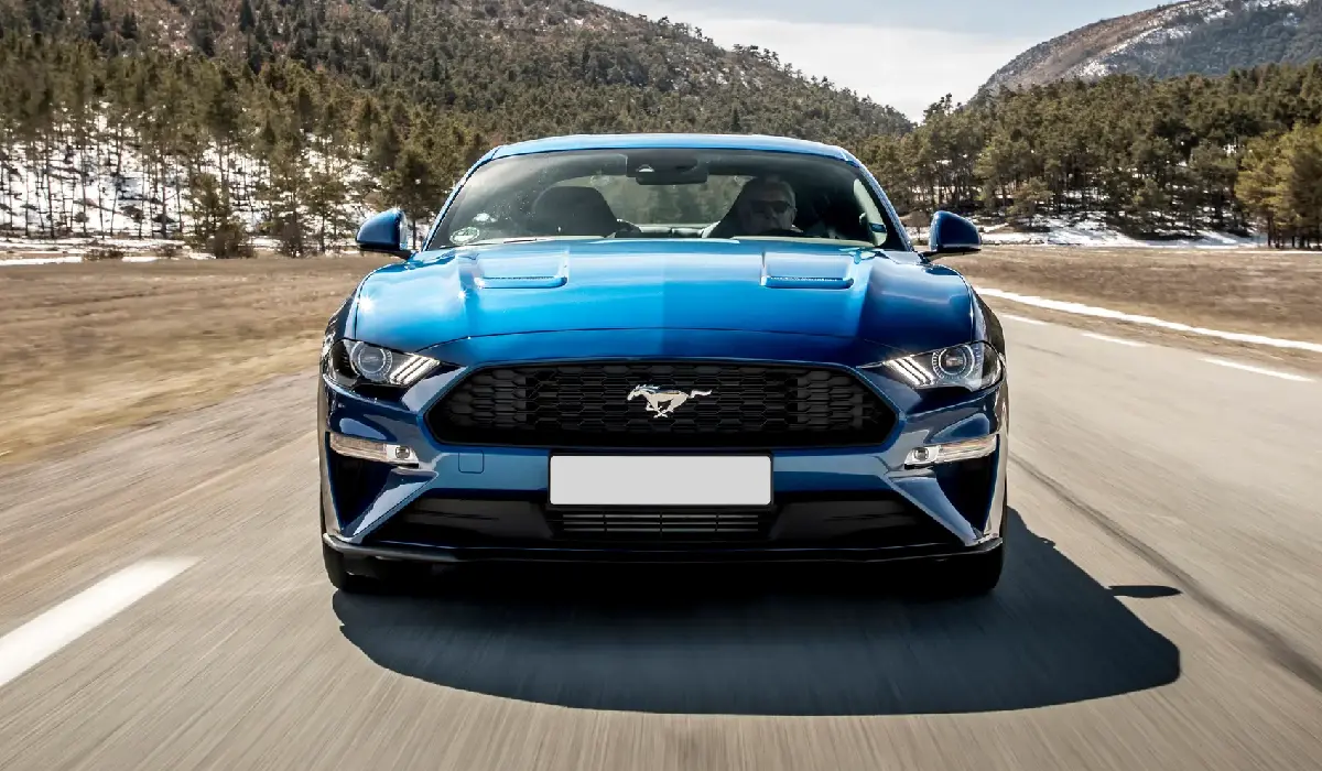 Ford - Mustang Gt Fastback - Sports Car Rentals - Preowned Sports Car - Exclusive Concierge Club.webp